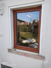 Fenster braun